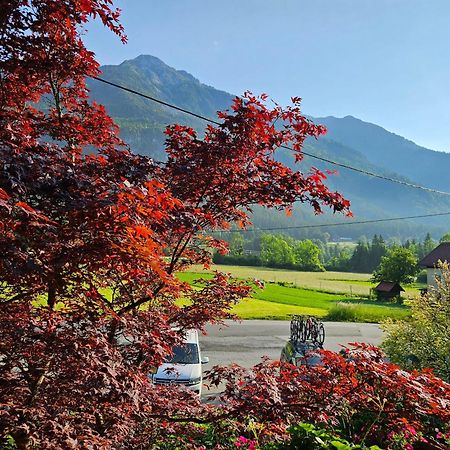 Ski&Bike Nassfeld Apartments ヘルマゴル エクステリア 写真